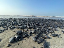 Tongkang Batu Bara Kandas di Pangandaran, Pemilik Kapal Dipanggil DKP