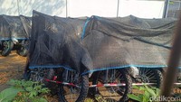 17.600 Motor Listrik Pengadaan BGN Tak Disita Kejagung, tapi...