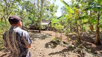Bak Kota Hantu, Kisah Padukuhan di Gunungkidul yang Hilang Ditinggal Penduduknya