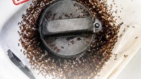 Viral Tangki Bensin Dikerubungi Semut setelah Isi BBM Bioetanol E20