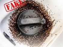 Viral Tangki Bensin Dikerubungi Semut setelah Isi BBM Bioetanol E20
