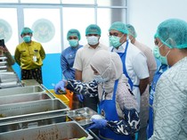 Cek Dapur MBG di Pekanbaru, Andre Rosiade Puji Pembenahan-Keterlibatan UMKM