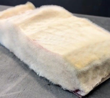Diselimuti Jamur Tebal, Tuna 'Bulukan' Ini Malah Jadi Sajian Premium Diselimuti Jamur Tebal, Tuna 'Bulukan' Ini Malah Jadi Sajian Premium