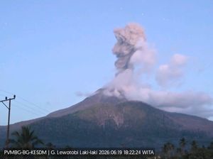 521 KK Penyintas Erupsi Lewotobi Terima DTH Rp 1,87 Miliar