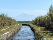 Gunung Semeru Erupsi Lagi, Lava Pijar Meluncur 1 Kilometer