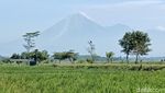 Penampakan Gunung Semeru Saat Erupsi Luncurkan Awan Panas 4,5 Km