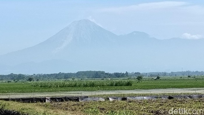 Gunung Semeru erupsi