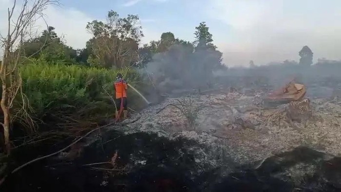 Karhutla di Kotawaringin Barat.