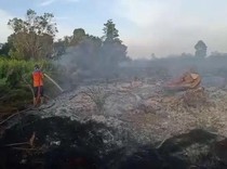 BPBD Kotim Catat 49 Karhutla Selama 2026, 102 Hektare Lahan Hangus