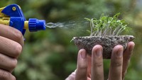 Selain mengurangi sampah, rumah produksi tersebut juga memberdayakan masyarakat sekitar melalui pengembangan ekonomi kreatif berbasis lingkungan. Berbagai produk suvenir seperti kertas benih, pensil benih hingga pot daur ulang yang ramah lingkungan serta dapat ditanam kembali telah dipasarkan hampir ke seluruh daerah di Indonesia dengan harga mulai dari Rp2.500 sampai Rp350 ribu. ANTARA FOTO/Abdan Syakura