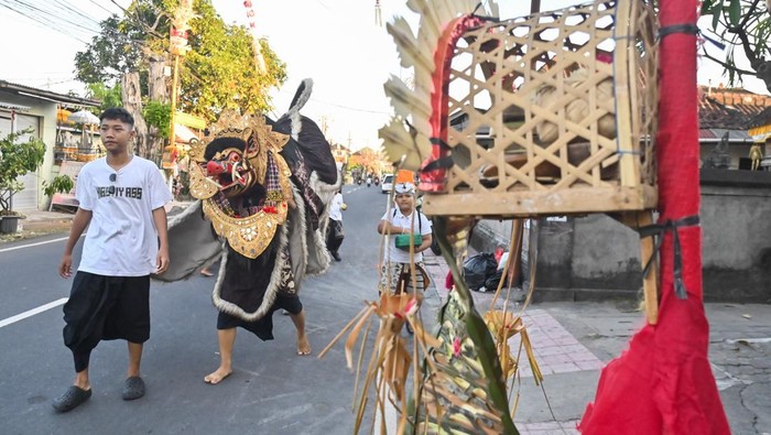 Remaja menarikan tarian Barong Bangkung berkeliling ke rumah-rumah warga saat melakukan tradisi Ngelawang di Denpasar, Bali, Kamis (18/6/2026). Tradisi Ngelawang berkeliling kampung itu dilakukan umat Hindu pada rangkaian perayaan Hari Raya Galungan guna menetralkan aura negatif serta menolak bala. ANTARA FOTO/Fikri Yusuf/wsj.