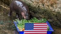 Atraksi tersebut digelar menjelang pertandingan Piala Dunia antara Amerika Serikat dan Australia. REUTERS/Chalinee Thirasupa