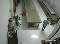 Karyawan 4 Kali Curi Kain Bahan di Konfeksi Jakbar, Hasilnya Buat Main Judol