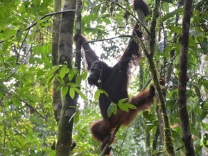 Sekarang Himba Gagah Banget, Tak Disangka Masa Bayinya Begitu Kelam