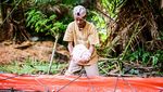 Sagu Tulehu Tetap Bertahan, Pangan Tradisional Penopang Ekonomi Warga