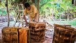 Sagu Tulehu Tetap Bertahan, Pangan Tradisional Penopang Ekonomi Warga