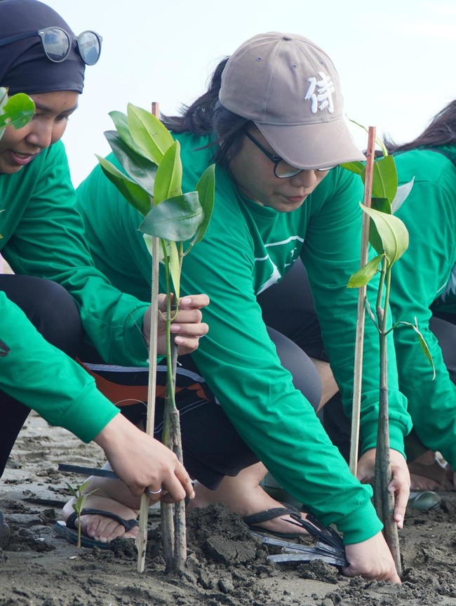 Rehabilitasi Pesisir Dimulai dengan Penanaman Mangrove