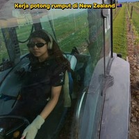 Viral Kisah Wanita Bogor Bergelar Sarjana Kerja Potong Rumput di New Zealand