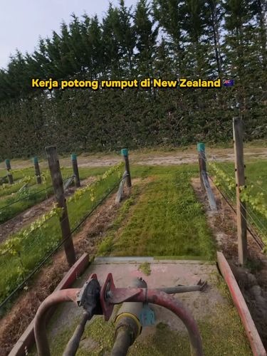 Viral wanita RI bekerja jadi tukang potong rumput di New Zealand, akui tak menyangka jalani 'plot twist' hidup. Kisahnya menginspirasi netizen!
