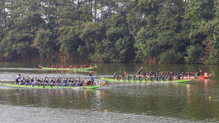 Sejumlah peserta memacu kecepatan dalam Festival Balap Perahu Naga di Situ Cipule, Ciampel, Karawang, Jawa Barat, Sabtu (20/6/2026). Pemerintah Kabupaten Karawang menyelenggarakan Festival Balap Perahu Naga pada 20-21 Juni 2026 yang diikuti sekitar 1.500 peserta dari Jawa Barat, DKI Jakarta, dan Banten sebagai upaya menggerakan sektor ekonomi serta pariwisata daerah. ANTARA FOTO/Darryl Ramadhan/sgd