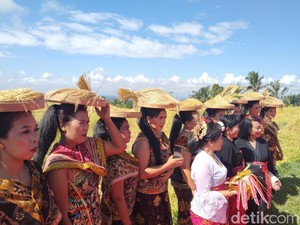 Festival Jatiluwih 2026 Dongkrak Pariwisata dan Ekonomi Lokal