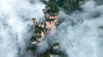 Hutan Batu Zhangjiajie, Hadirkan Panorama Bak Negeri di Atas Awan