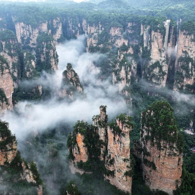 Hutan Batu Zhangjiajie, Hadirkan Panorama Bak Negeri di Atas Awan