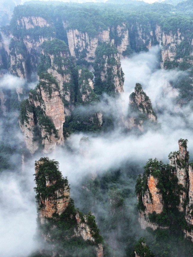 Hutan Batu Zhangjiajie, Hadirkan Panorama Bak Negeri di Atas Awan