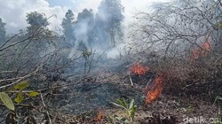 OMC Kalteng Terkendala Jarak Pandang, Gubernur: Pesawat Butuh 5.000 Meter