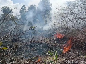 Seabrek Bantuan Pemerintah Pusat untuk Tangani Karhutla Kalteng