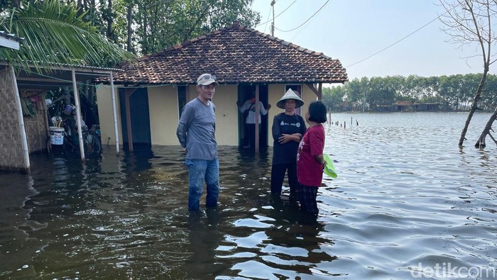 Kondisi banjir rob di Desa Tunggulsari, Kecamatan Tayu, Pati, Sabtu (20/6/2026).