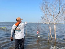 Jeritan Petani Tambak Tunggulsari Pati Terendam Banjir Rob