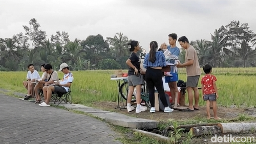 Sejumlah pengunjung memadati lapak kopi dadakan di pematang sawah Subak Bregiding, Desa Pangsan, Badung, Bali, Sabtu (20/6/2026). (Foto: Agus Eka/detikBali)