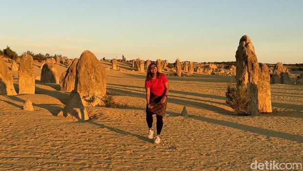 The Pinnacles View di Australia Barat