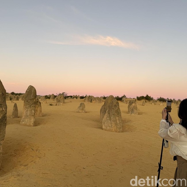 Menjelajahi The Pinnacles, Lanskap Alien di Australia Barat