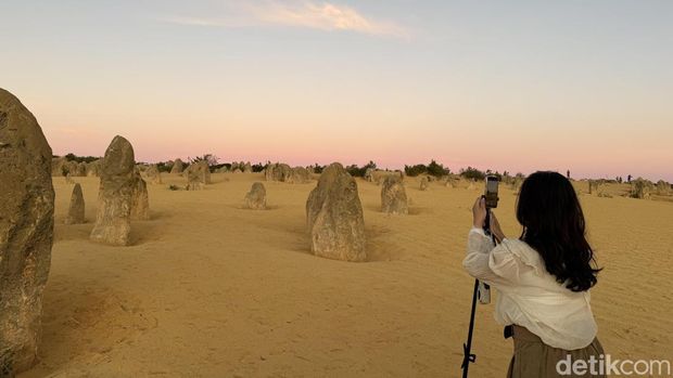 The Pinnacles View di Australia Barat