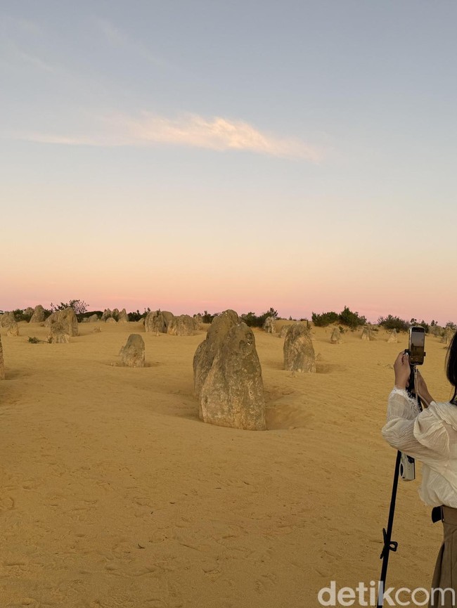 Menjelajahi The Pinnacles, Lanskap Alien di Australia Barat