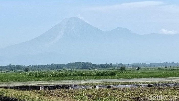 Kondisi Gunung Semeru pada Minggu (21/06). PVMBG menyebut Gunung Semeru mengalami 6 kali erupsi hari ini.