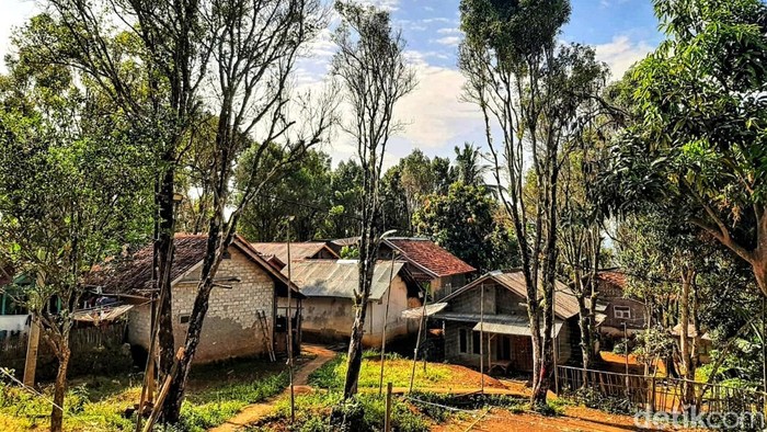 Kampung Kadubengkung yang tak lagi jadi penghasil Durian