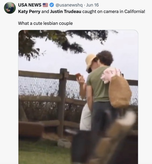 Ada pula yang berspekulasi bahwa kemesraan tersebut sengaja ditunjukkan untuk membantah berbagai rumor yang pernah beredar tentang dirinya. Namun, tidak sedikit yang membela pasangan tersebut. Pendukung Trudeau menilai tidak ada yang salah dengan dua orang dewasa yang sedang menikmati waktu bersama dan menunjukkan kasih sayang mereka di depan publik. Foto: dok. X