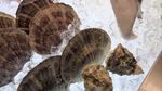 Keseruan Mega Bintang Ivan Gunawan saat Makan Seafood hingga Pesta Durian