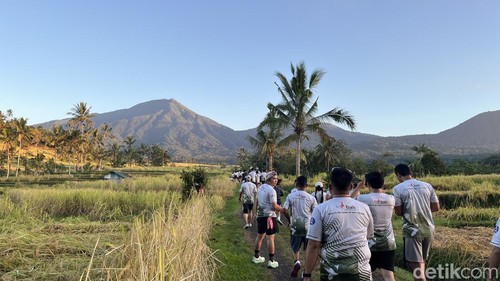 Para peserta lari di acara Bali Tourism Run, Jatiluwih, Penebel, Tabanan, Minggu (21/6/2026).