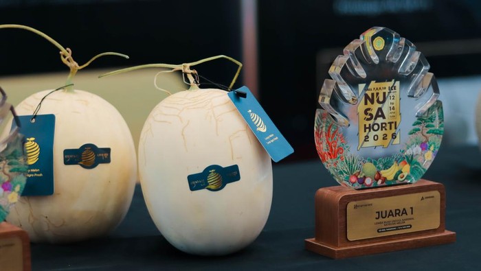 Melon kirani mendapatkan penghargaan sebagai juara pertama kategori buah melon.