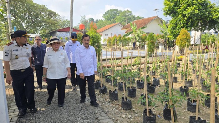 Momen Titiek dan Menteri Imipas Agus mengecek kondisi lahan di Nusakambangan. (Audrey/detikcom)