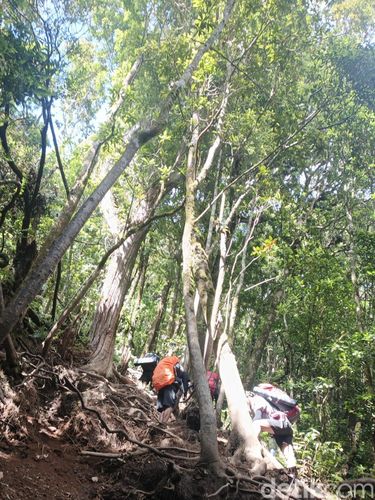 Pendakian ke Gunung Gede Pendakian ke Gunung Gede