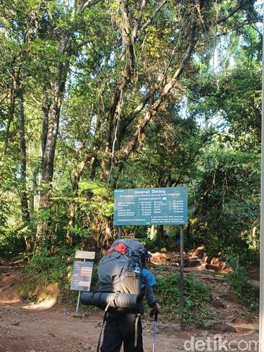 Pendakian ke Gunung Gede Pendakian ke Gunung Gede