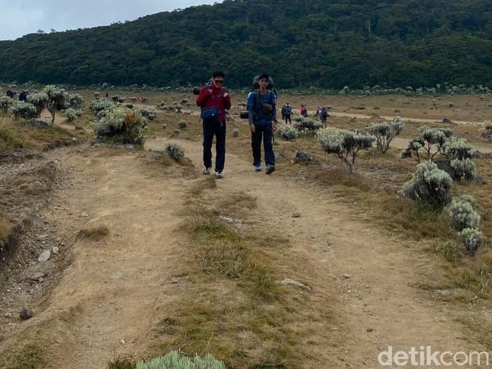 Pendakian ke Gunung Gede