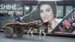 Tradisi Perdagangan Keledai Warnai Hiruk Pikuk Kota Karachi