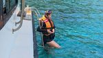 Momen Aura Kasih Freedive: Cari Lumba-lumba hingga Dikerumuni Ikan