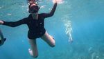 Momen Aura Kasih Freedive: Cari Lumba-lumba hingga Dikerumuni Ikan